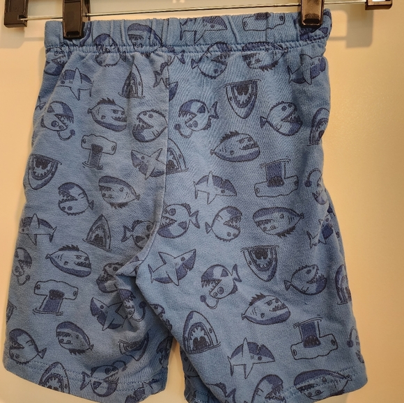 5t Carter's Shorts - Picture 4 of 5